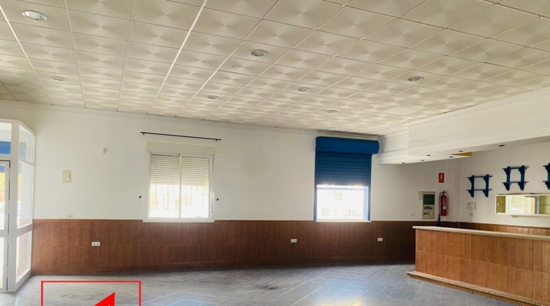 Sevilla - Las Cabezas de San Juan - 360m2