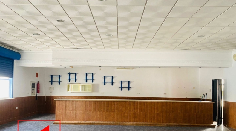 Sevilla - Las Cabezas de San Juan - 360m2