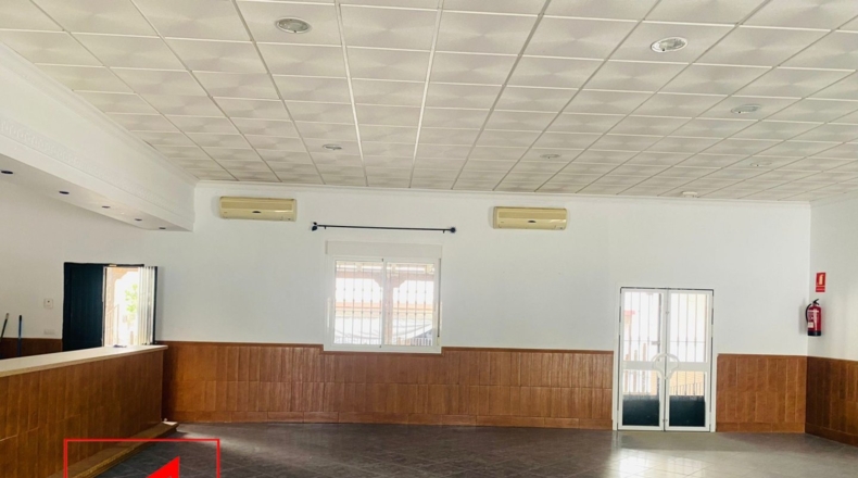 Sevilla - Las Cabezas de San Juan - 360m2