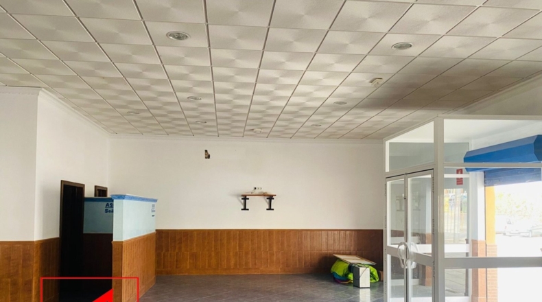 Sevilla - Las Cabezas de San Juan - 360m2