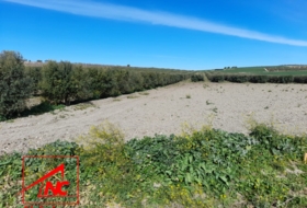 Lebrija 53057&nbsp;м²