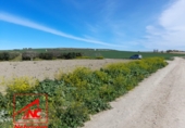 Земля на продажу у города Lebrija. Фото