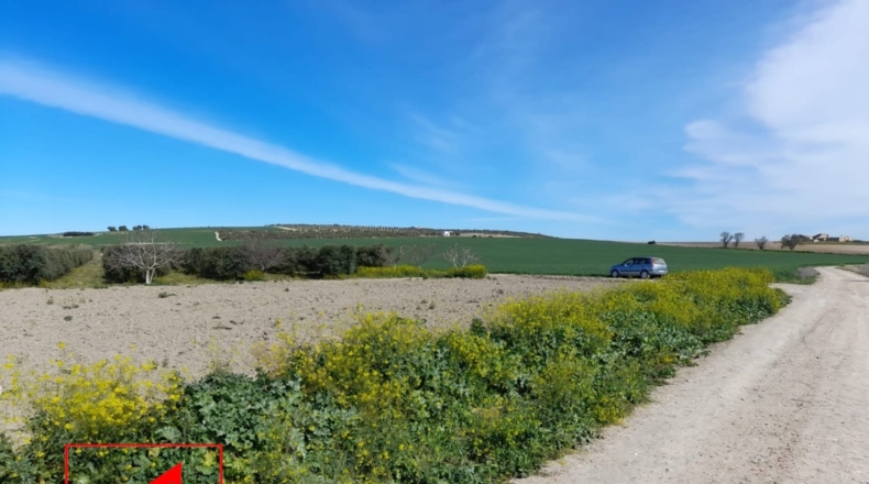 Sevilla - Lebrija - 53057m2