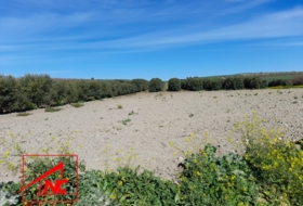 Lebrija 53057&nbsp;м²