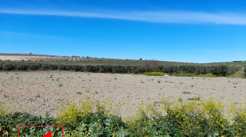 Sevilla - Lebrija - 53057m2