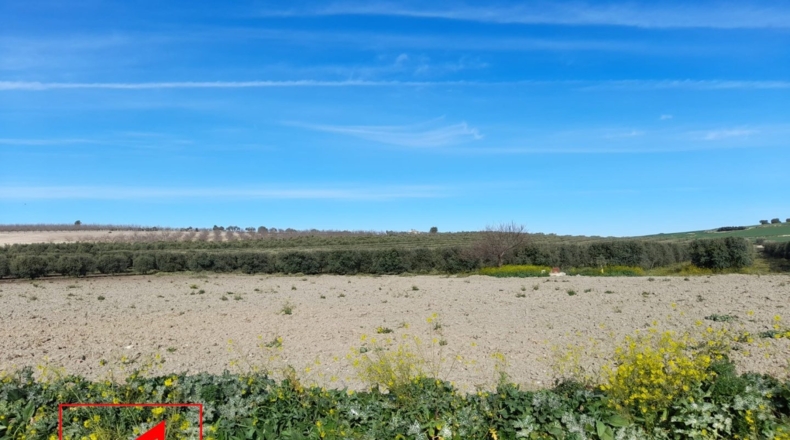 Sevilla - Lebrija - 53057m2