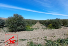 Lebrija 53057&nbsp;м²