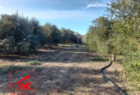 Lebrija 53057&nbsp;м²