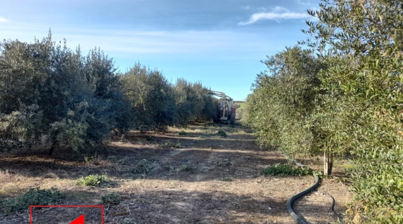 Sevilla - Lebrija - 53057m2