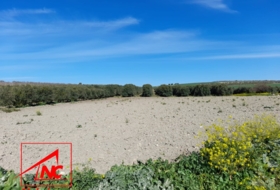 Lebrija 53057&nbsp;м²