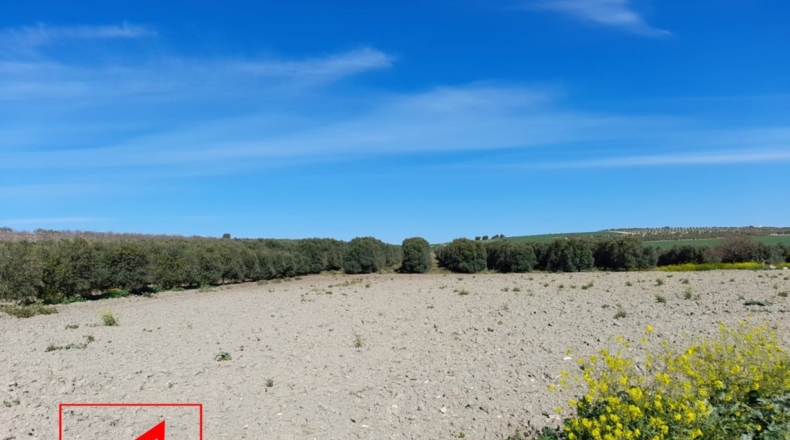 Sevilla - Lebrija - 53057m2