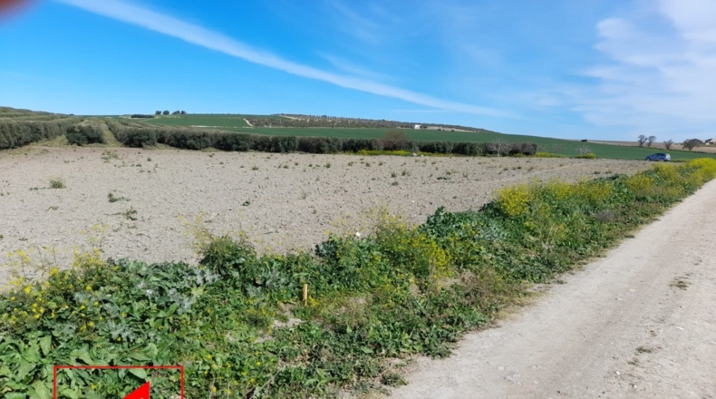 Sevilla - Lebrija - 53057m2