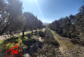 Lebrija 53057&nbsp;м²