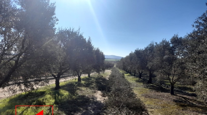 Sevilla - Lebrija - 53057m2