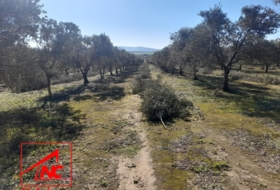 Lebrija 53057&nbsp;м²