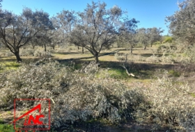 Lebrija 53057&nbsp;м²