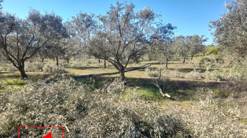 Sevilla - Lebrija - 53057m2