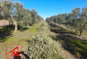 Lebrija 53057&nbsp;м²