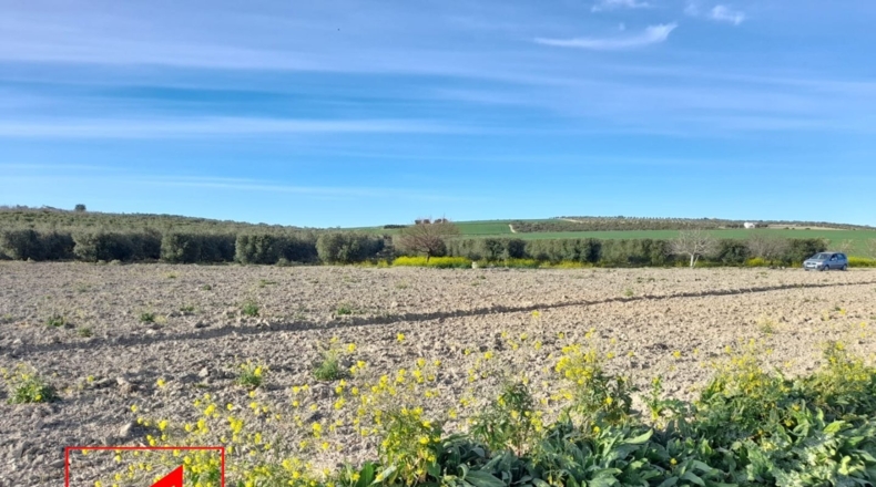 Sevilla - Lebrija - 53057m2