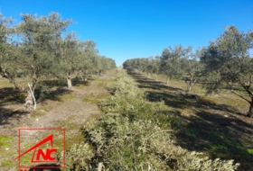 Lebrija 53057&nbsp;м²