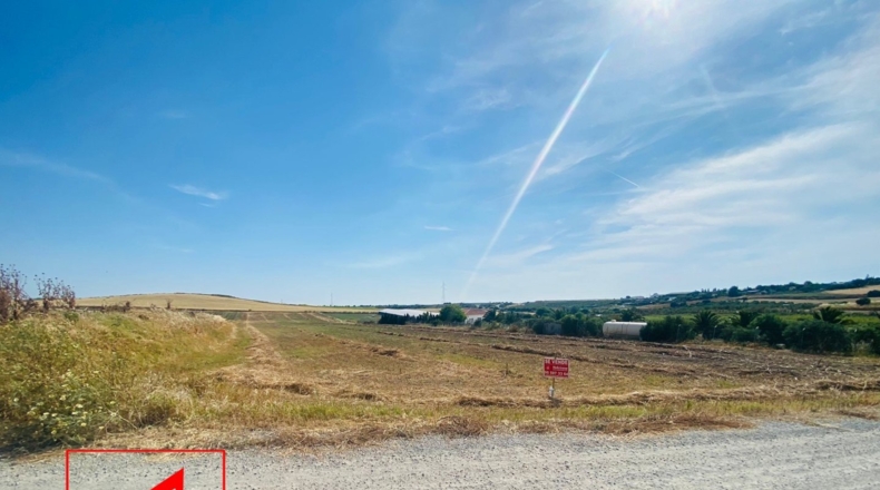 Sevilla - Las Cabezas de San Juan - 12000m2