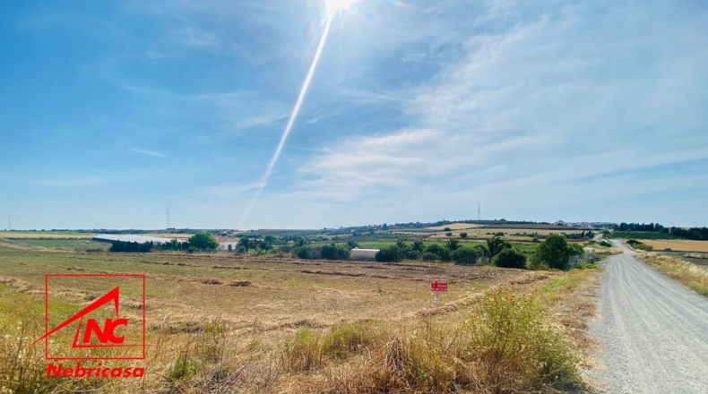Sevilla - Las Cabezas de San Juan - 12000m2