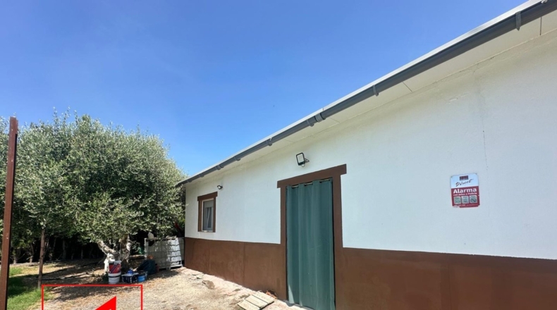 Seville - Las Cabezas de San Juan - 1250m2