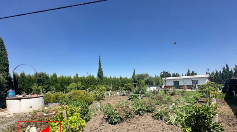 Seville - Las Cabezas de San Juan - 1250m2