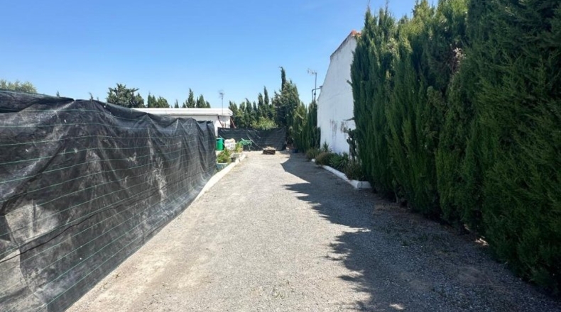 Seville - Las Cabezas de San Juan - 1250m2
