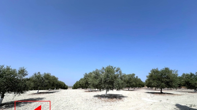 Seville - Lebrija - 14064m2
