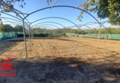 Finca rústica en venda a El Cuervo ref.: TR342600 foto