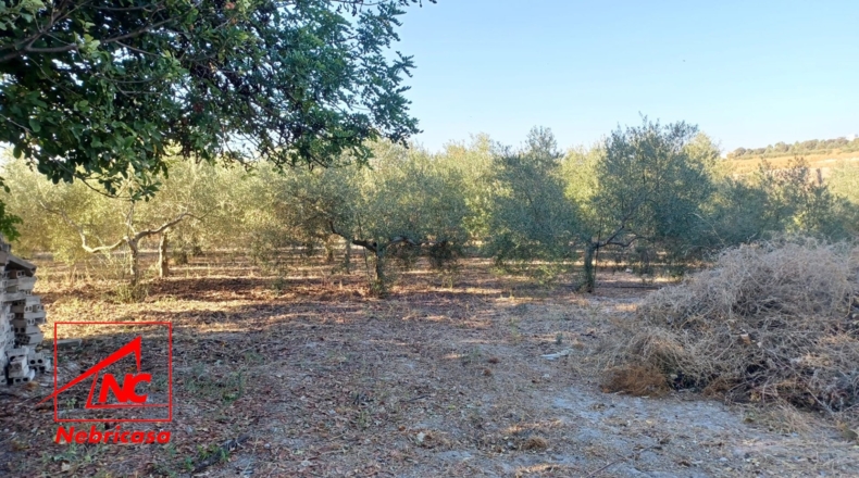 Teruel - El Cuervo - 5m2