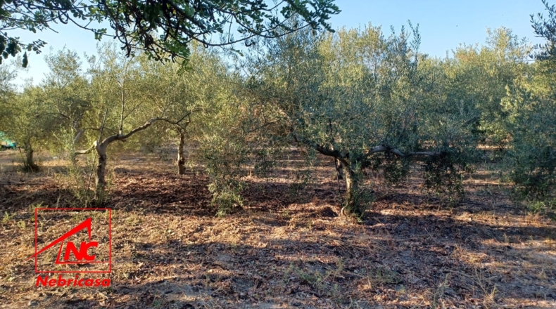 Teruel - El Cuervo - 5m2