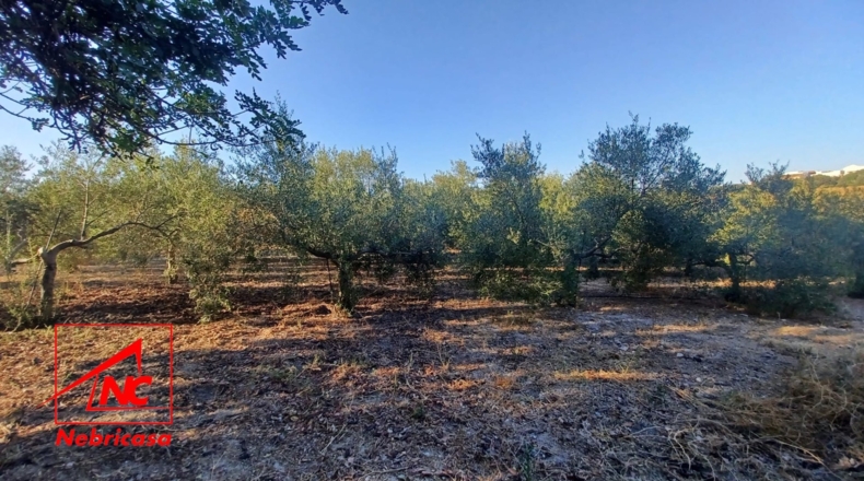 Teruel - El Cuervo - 5m2