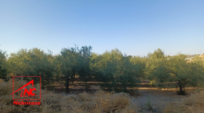 Teruel - El Cuervo - 5m2