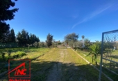 Finca rústica en venda a Las Cabezas de San Juan ref.: TR388215 foto