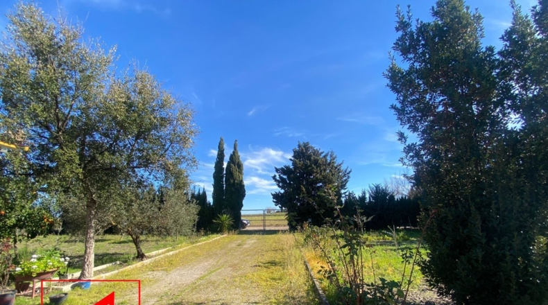 Sevilla - Las Cabezas de San Juan - 2510m2