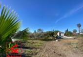 Finca rústica en venda a Las Cabezas de San Juan ref.: TR388215 foto