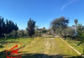 Finca rústica en venda a Las Cabezas de San Juan ref.: TR388215 foto