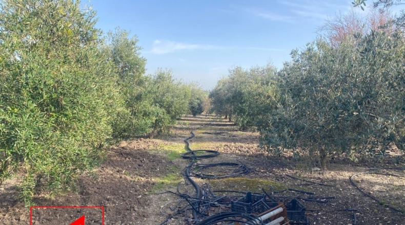 Seville - Las Cabezas de San Juan - 28m2