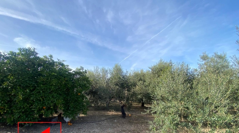Seville - Las Cabezas de San Juan - 28m2