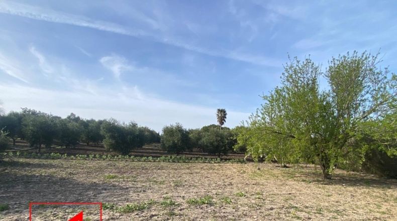 Seville - Las Cabezas de San Juan - 28m2