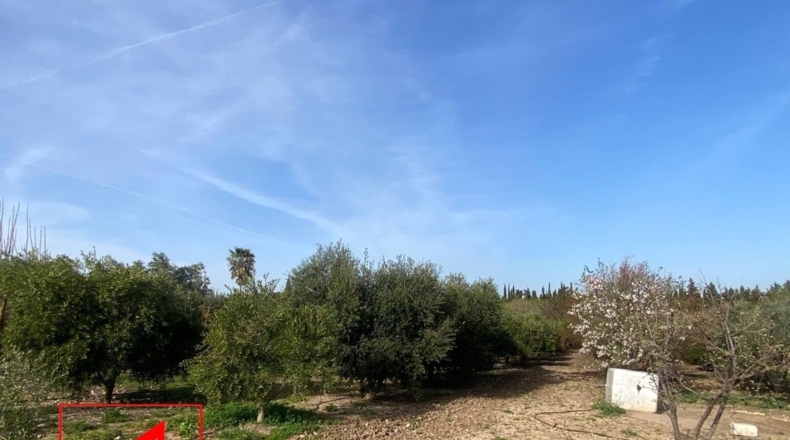 Seville - Las Cabezas de San Juan - 28m2