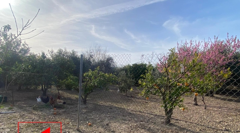 Seville - Las Cabezas de San Juan - 28m2