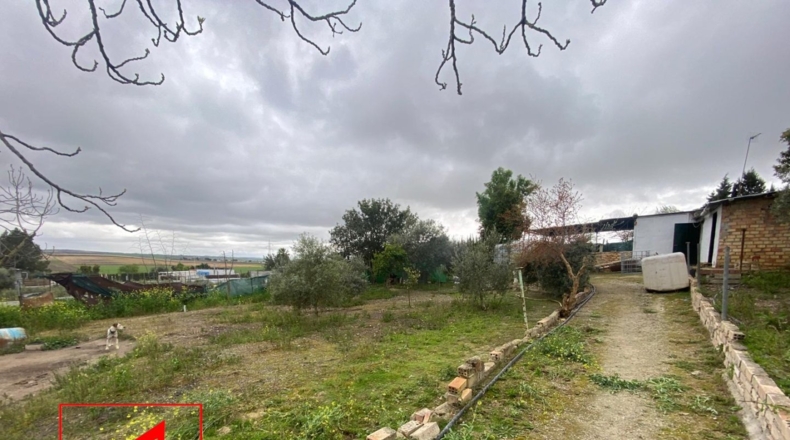 Sevilla - Las Cabezas de San Juan - 43m2