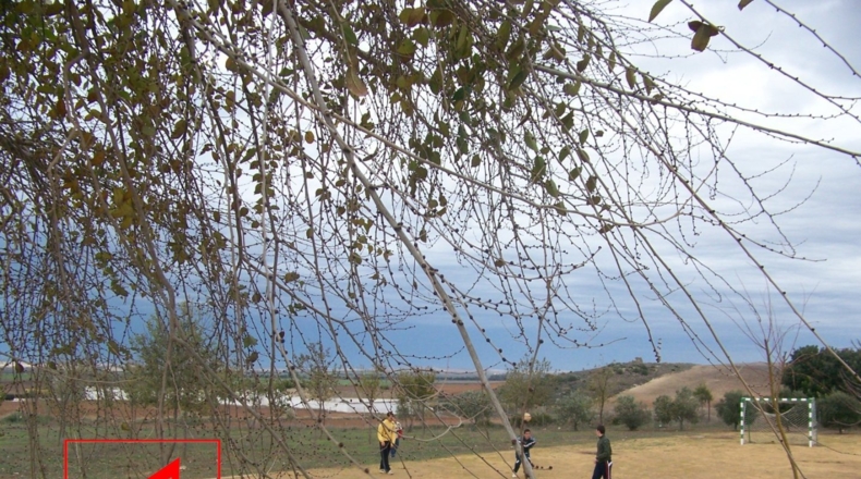 Teruel - El Cuervo - 469m2