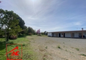 Finca rústica en venda a El Cuervo ref.: TR396142 foto