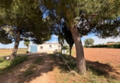 Rural estate for sale in Membrilla ref: TR407846 photo