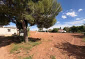 Rural estate for sale in Membrilla ref: TR407846 photo