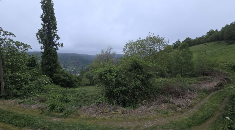 Asturias - San Martín - 400m2